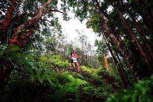 BIB: 
                            <button type="button" onclick="openModal(26202348)" class="btn btn-primary btn-sm float-right btn-popup" data-toggle="modal" data-target=".modal-high-quality">
                        <i class="fas fa-shopping-cart"></i> Add to Cart
                    </button>
                                            <button type="button" onclick="isThisMe(26202348, true)" class="btn btn-success btn-sm float-right btn-popup btn-isme hidden" data-toggle="tooltip" data-placement="bottom" title="นี่คือรูปของคุณใช่ไหม คลิกที่นี่เพื่อเอาเข้าอัลบั้ม">
                        <i class="fas fa-plus"></i> Add to album
                    </button>
                    <button type="button" onclick="isThisMe(26202348, false)" class="btn btn-warning btn-sm float-right btn-popup btn-isnotme hidden">
                        <i class="fas fa-ban"></i> Remove from album
                    </button>